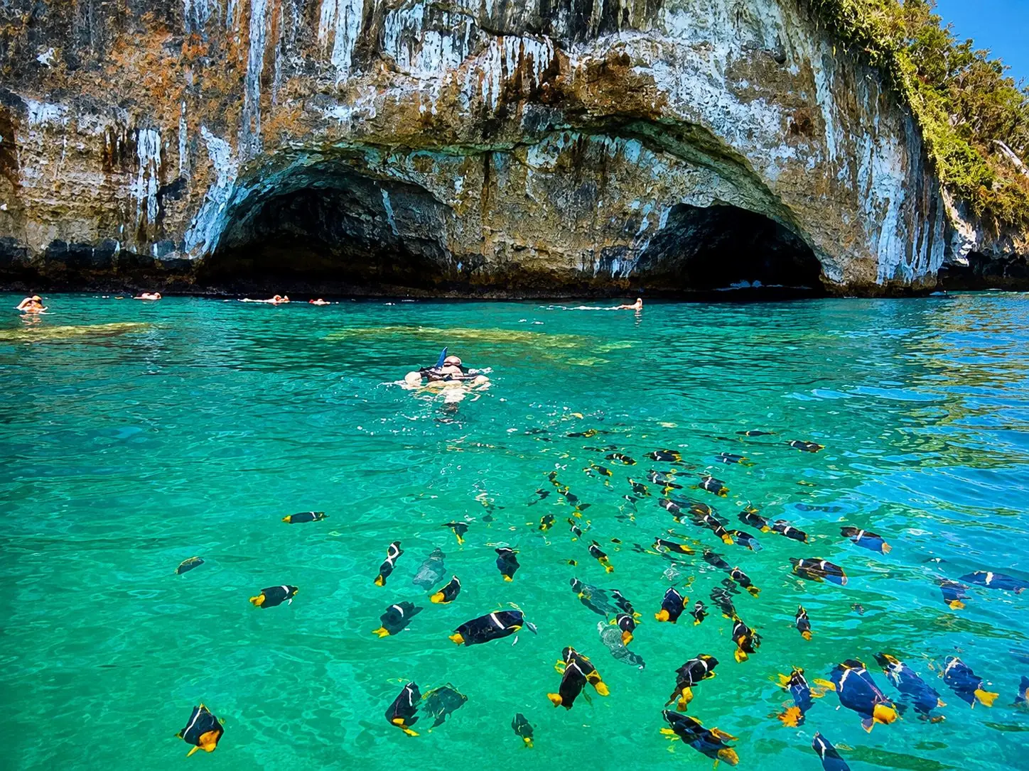 Snorkeling the Marietas Islands